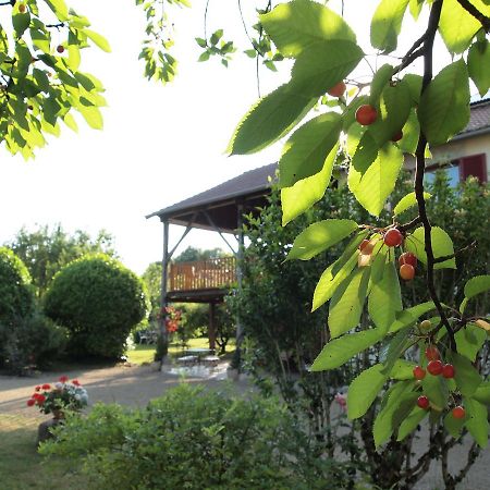ホテルLes Jardins De Lily Saint-Léonard-de-Noblat エクステリア 写真