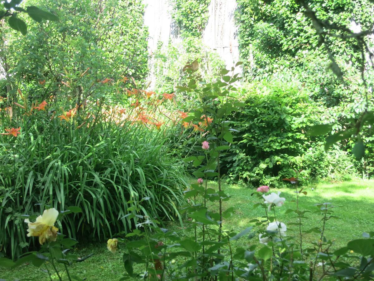 ホテルLes Jardins De Lily Saint-Léonard-de-Noblat エクステリア 写真
