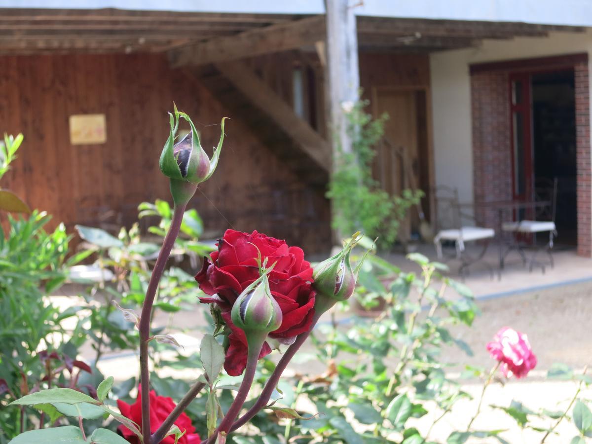 ホテルLes Jardins De Lily Saint-Léonard-de-Noblat エクステリア 写真